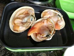 -蚝专家