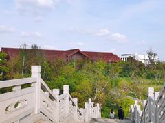 -广富林郊野公园