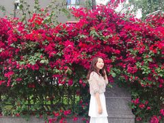 -四川大学(华西校区)