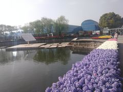 -上海鲜花港