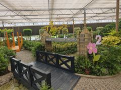 -南宫五洲植物乐园