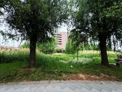 -中国翰园碑林