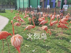 -秦皇岛野生动物园