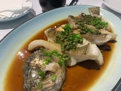 椒汁蒸鲈鱼-禧宴Joyous Restaurant(禧园店)