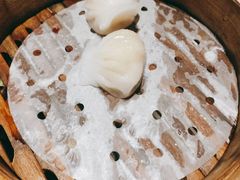-高第街56号餐厅(泰安万达店)