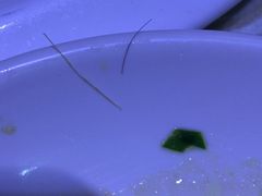 -钓鱼岛洗浴休闲会馆(卫星路店)