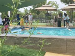 -爪吧宠物乐园 (温榆河示范区店)