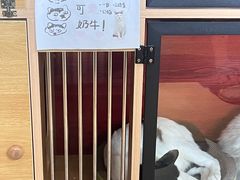 -御宝贝·A梦猫科宠物医院(国际猫友好医院)