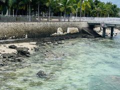 -三亚西岛海洋文化旅游区