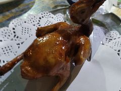 红烧乳鸽-石岐乳鸽村(南海第三分店)