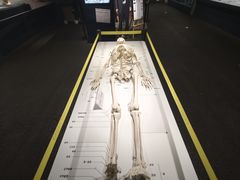 -李昌钰刑侦科学博物馆