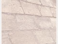 -上海佘山国家森林公园西佘山园