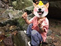 -藏龙百瀑风景区