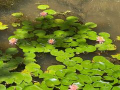 -刘伯温故里景区百丈漈