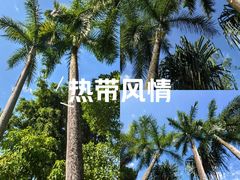 -孔雀湖生态旅游区