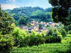 -杨家堂村