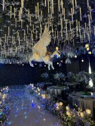-花嫁丽舍婚礼殿堂(世博江景店)