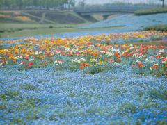 -上海辰山植物园
