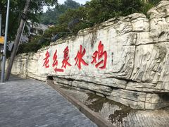 -老幺泉水鸡