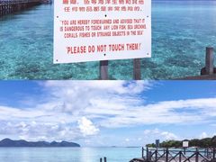 -邦邦岛