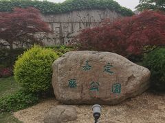 -嘉定紫藤园