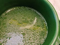 -润园四季椰子鸡火锅(南山海岸城店)