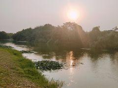 -艾溪湖湿地公园