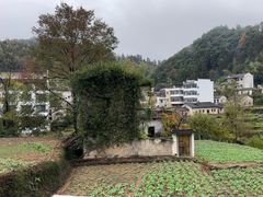 -石潭村
