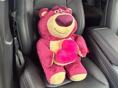 -天猫养车贴膜轻改·蓝电(优匹康桥东路店)