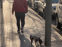 -美联众合动物医院·24h京西诊疗中心