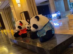 -成都保利公园皇冠假日酒店(熊猫基地店)