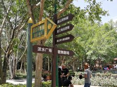 -西双版纳傣族园