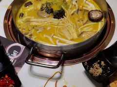-洪氏嗨捞·猪肚鸡火锅(阳光天地店)