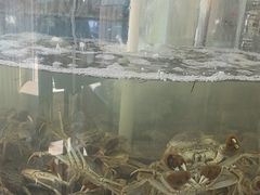 -仙螺岛海鲜自助餐厅(总店)