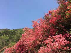 -木兰云雾山