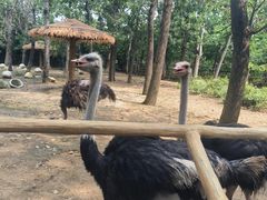 -大连森林动物园