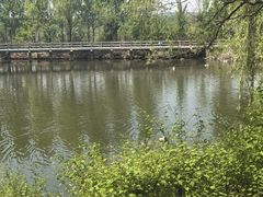 -沈阳鸟岛