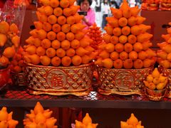 -越秀西湖花市(广州城市广场花卉店)