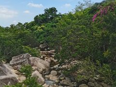 -海南热带雨林国家公园吊罗山景区
