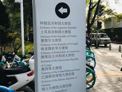 -三里屯东五街银杏大道