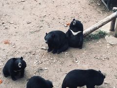 -大连森林动物园