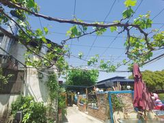 -水岸居湖景农家乐·阳澄湖大闸蟹