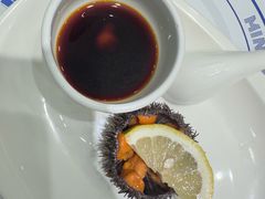 -小海丁