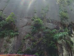 -九鲤湖风景区