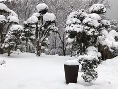 -南京东郊国宾馆