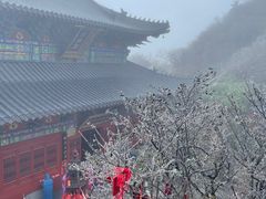 -老君山风景名胜区