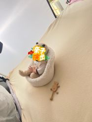 -玛瑞莎·儿童·亲子摄影(越秀店)