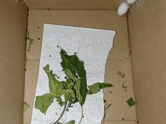 -成都仁和新城购物中心