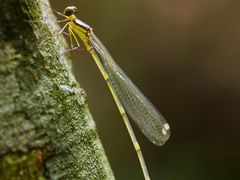 -七仙岭温泉国家森林公园