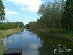 -黄海国家森林公园